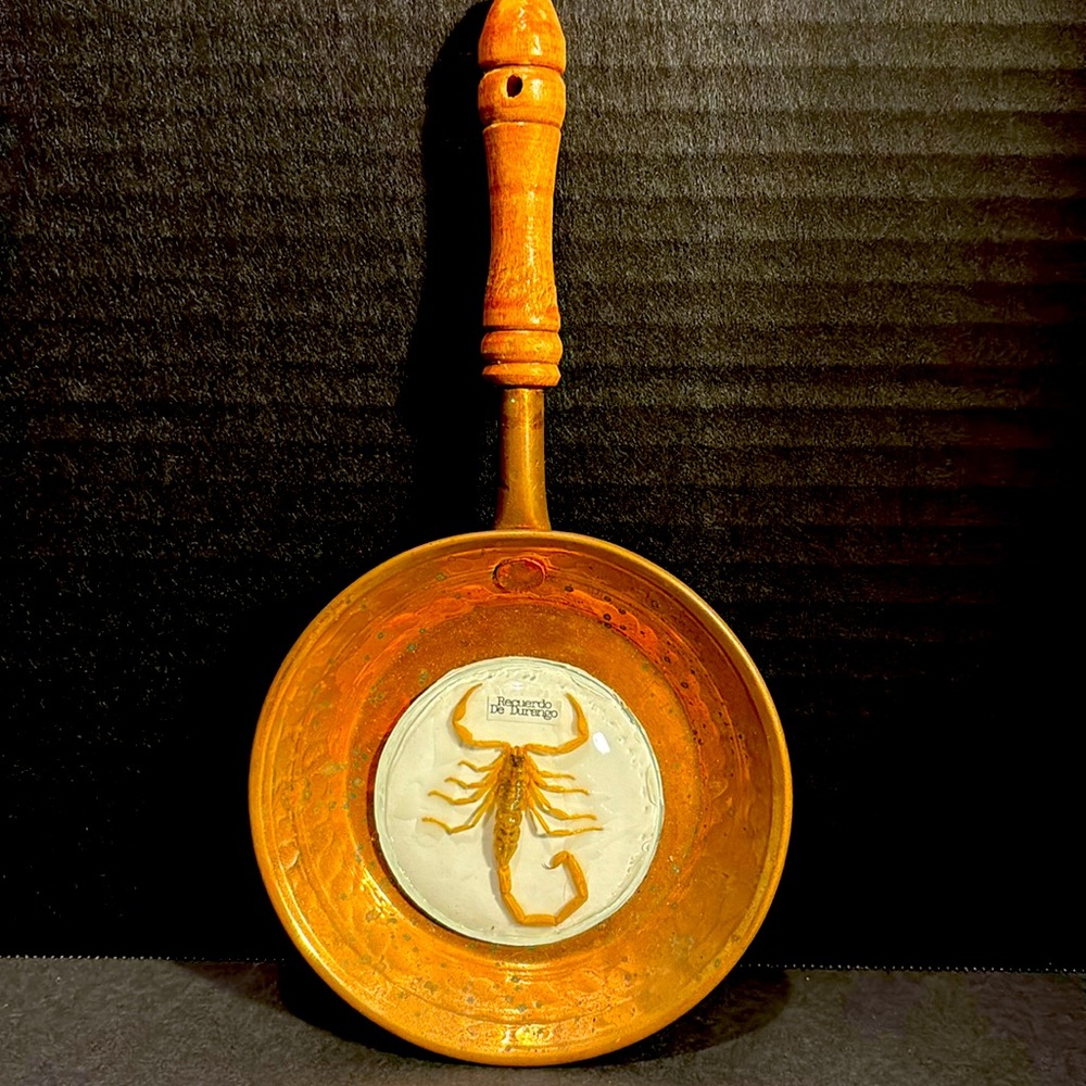 Scorpion. Recuerdo De Durengo . Under resin. Looks like a copper and wood holder